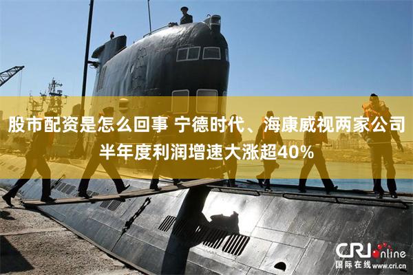 股市配资是怎么回事 宁德时代、海康威视两家公司半年度利润增速大涨超40%