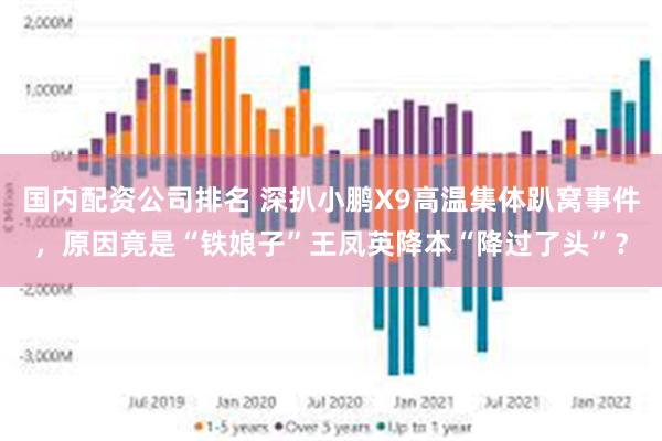 国内配资公司排名 深扒小鹏X9高温集体趴窝事件，原因竟是“铁娘子”王凤英降本“降过了头”？