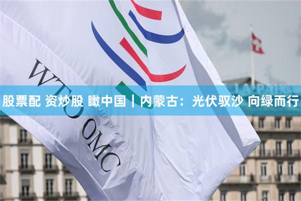 股票配 资炒股 瞰中国|内蒙古:光伏驭沙 向绿而行