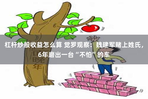 杠杆炒股收益怎么算 觉罗观察：魏建军赌上姓氏，6年磨出一台“不怕”的车