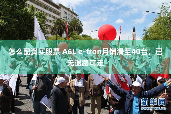 怎么配资买股票 A6L e-tron月销滑至40台,已无退路可走