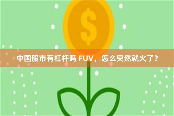 中国股市有杠杆吗 FUV,怎么突然就火了?
