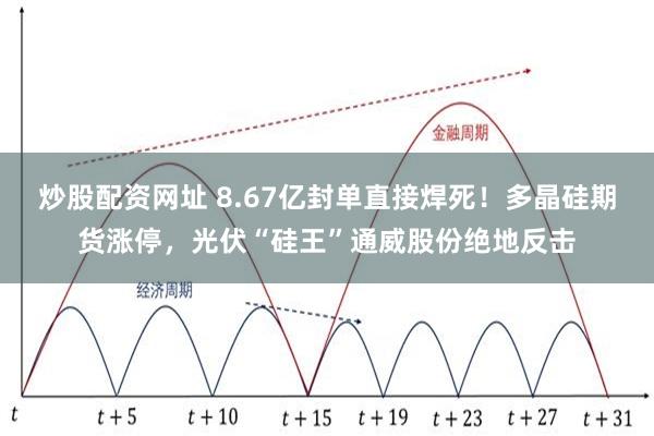 炒股配资网址 8.67亿封单直接焊死！多晶硅期货涨停，光伏“硅王”通威股份绝地反击
