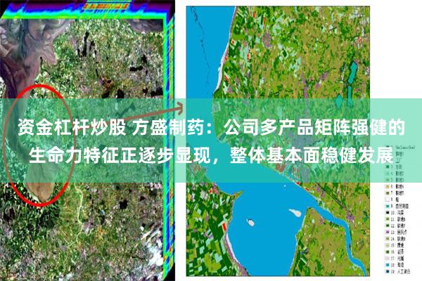 资金杠杆炒股 方盛制药：公司多产品矩阵强健的生命力特征正逐步显现，整体基本面稳健发展