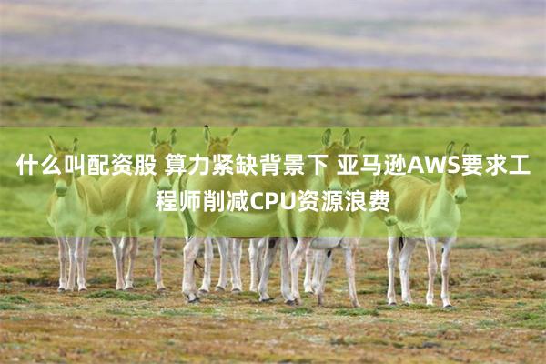 什么叫配资股 算力紧缺背景下 亚马逊AWS要求工程师削减CPU资源浪费