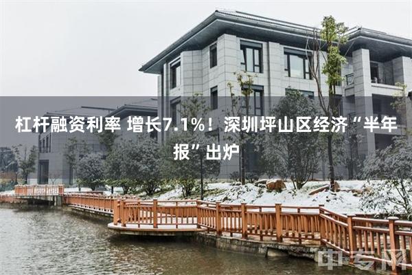 杠杆融资利率 增长7.1%！深圳坪山区经济“半年报”出炉