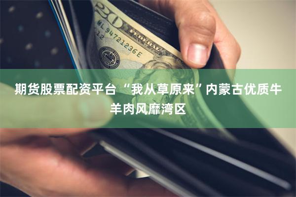 期货股票配资平台 “我从草原来”内蒙古优质牛羊肉风靡湾区