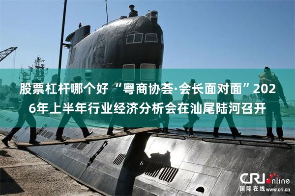 股票杠杆哪个好 “粤商协荟·会长面对面”2026年上半年行业经济分析会在汕尾陆河召开