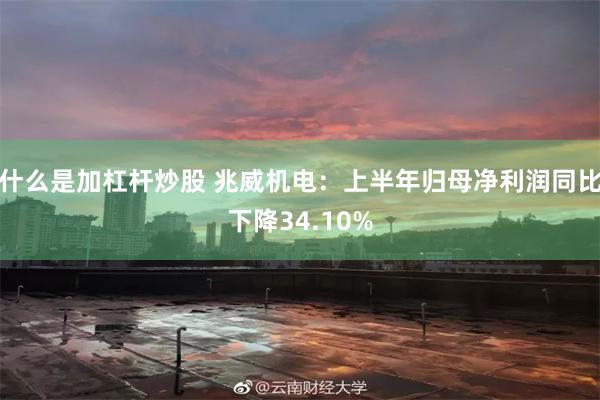 什么是加杠杆炒股 兆威机电：上半年归母净利润同比下降34.10%