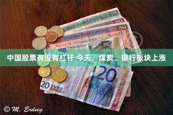中国股票有没有杠杆 今天，煤炭、银行板块上涨