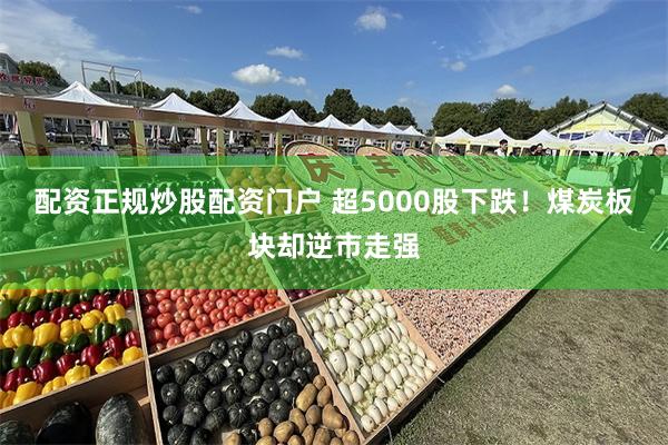 配资正规炒股配资门户 超5000股下跌！煤炭板块却逆市走强