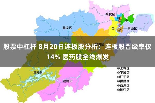 股票中杠杆 8月20日连板股分析:连板股晋级率仅14% 医药股全线爆发