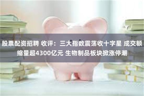 股票配资招聘 收评：三大指数震荡收十字星 成交额缩量超4300亿元 生物制品板块掀涨停潮