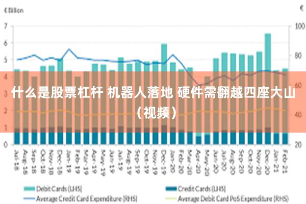 什么是股票杠杆 机器人落地 硬件需翻越四座大山（视频）