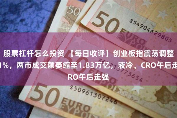 股票杠杆怎么投资 【每日收评】创业板指震荡调整跌1%，两市成交额萎缩至1.83万亿，液冷、CRO午后走强