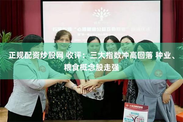正规配资炒股网 收评：三大指数冲高回落 种业、粮食概念股走强