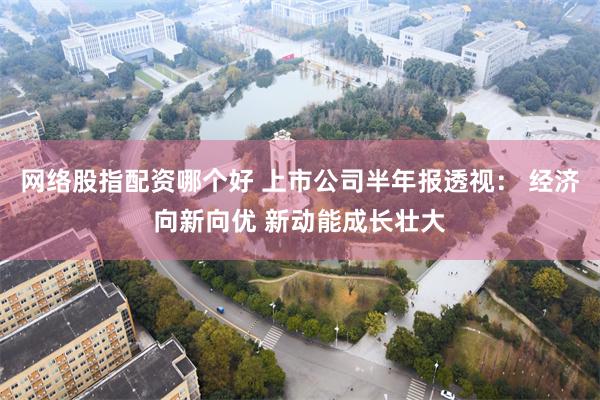网络股指配资哪个好 上市公司半年报透视： 经济向新向优 新动能成长壮大