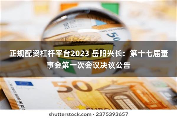 正规配资杠杆平台2023 岳阳兴长：第十七届董事会第一次会议决议公告