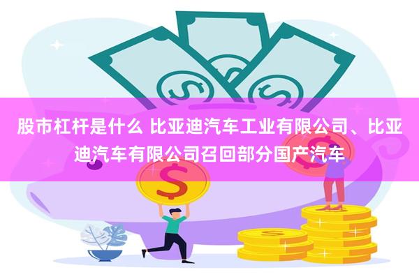 股市杠杆是什么 比亚迪汽车工业有限公司、比亚迪汽车有限公司召回部分国产汽车