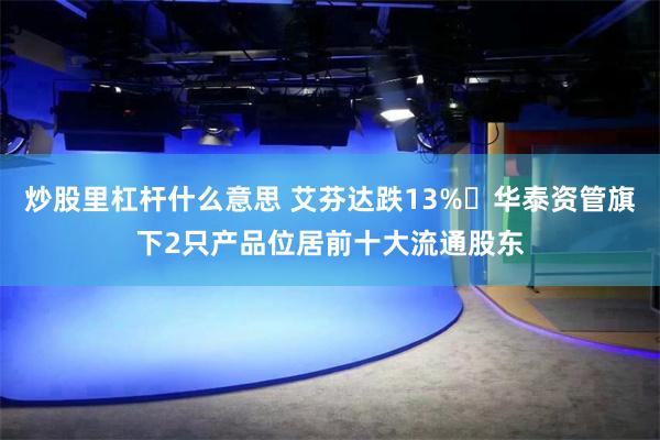 炒股里杠杆什么意思 艾芬达跌13% 华泰资管旗下2只产品位居前十大流通股东