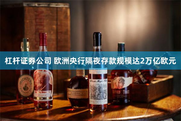 杠杆证券公司 欧洲央行隔夜存款规模达2万亿欧元