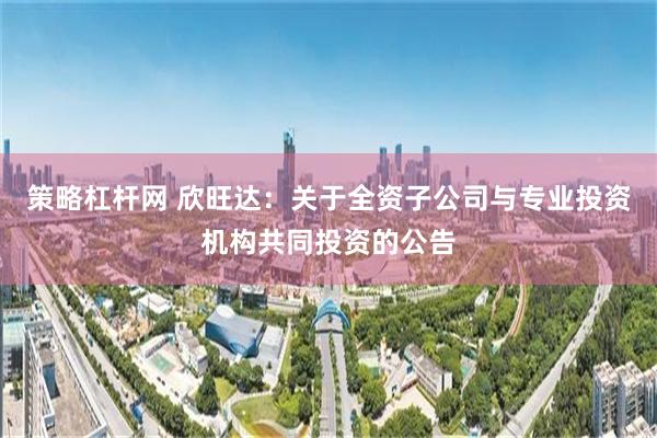 策略杠杆网 欣旺达：关于全资子公司与专业投资机构共同投资的公告